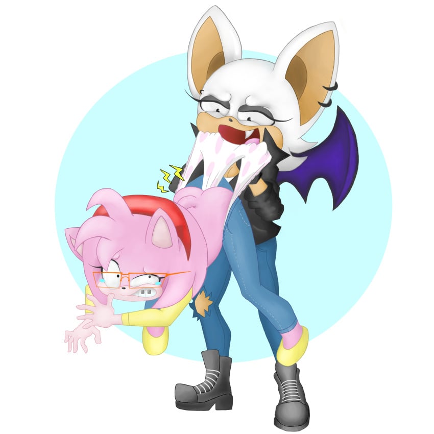 absurd_res amy_rose anthro anthro_only ass bat bullying clothing duo eulipotyphlan female female/female furry furry_female furry_only hedgehog hi_res mammal moexe nerd pain rouge_the_bat sega sonic_(series) underwear wedgie