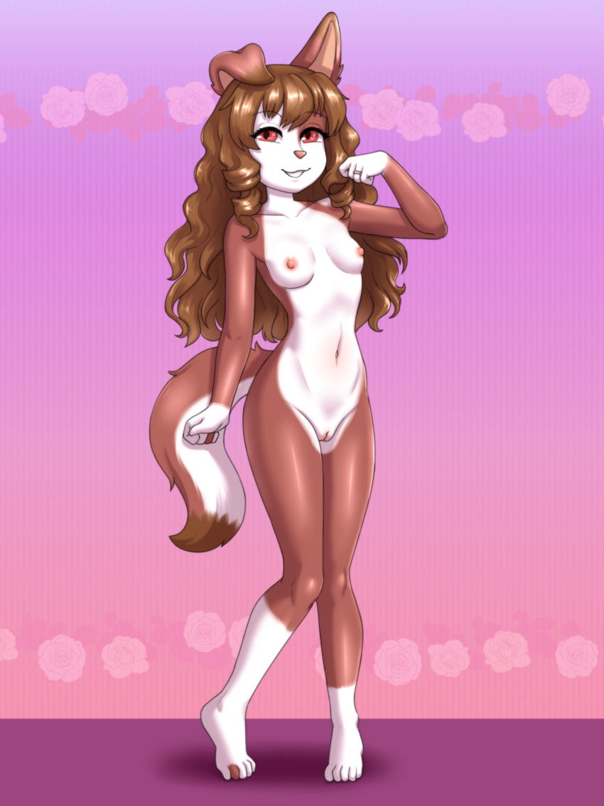 2024 absurd_res anthro areola biped breasts brown_body brown_hair canid canine canis countershade_face countershade_tail countershade_torso countershading domestic_dog eyebrows female floppy_ears front_view genitals gloves_(marking) hair hi_res leg_markings long_hair looking_at_viewer mammal markings medium_breasts multicolored_body navel nipples nude one_ear_up pussy red_eyes ring simple_background smile socks_(marking) solo standing tail two_tone_body vermelhatan white_body white_countershading white_markings