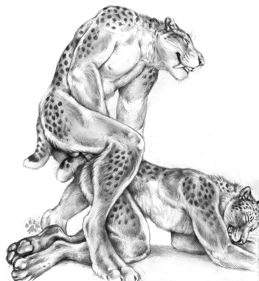 2010 all_fours anal anal_sex anthro balls blotch closed_eyes duo feline from_behind furry furry_only gay greyscale hindpaw male mammal monochrome nude pawpads paws penetration sabertooth sex smilodon whiskers