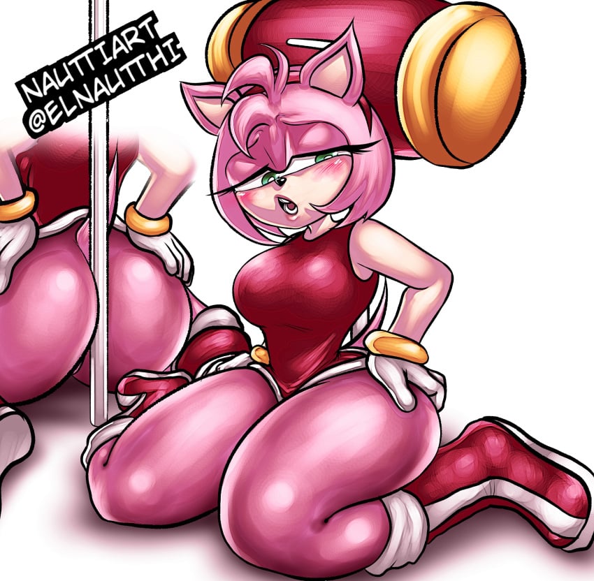 amy_rose big_ass furry nauttiart sonic_(series) sonic_the_hedgehog_(series)