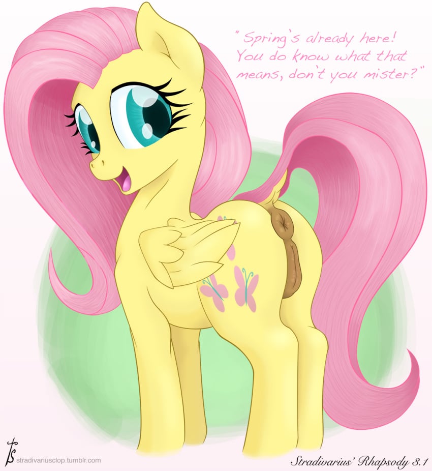 anus blush english_text equine female feral fluttershy_(mlp) friendship_is_magic horse mammal my_little_pony penis pony pussy stradivarius text