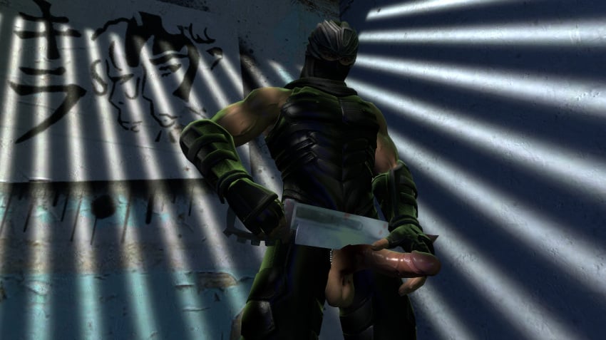 Ryu Hayabusa (Ninja Gaiden) Rule 34 Image