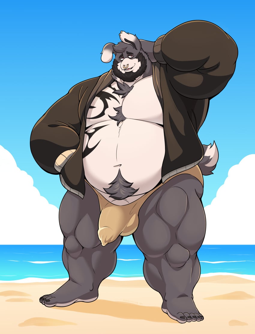 absurd_res anthro balls_outline beach beard belly bikini_thong body_hair brown_clothing brown_jacket brown_topwear buckteeth bulge chest_hair chest_tattoo chest_tuft clothed clothing detailed_bulge ear_piercing ear_ring embarrassed facial_hair facial_piercing fur genital_outline genital_piercing genitals grey_body grey_fur hair half-closed_eyes half-erect_under_clothing hand_in_pocket happy hi_res jack_blaggard jacket lagomorph leporid male mammal manlyster muscular_legs narrowed_eyes navel no_shoes nose_piercing nose_ring obese overweight partially_clothed penis penis_outline penis_piercing piercing pockets pose prince_albert_piercing pubes rabbit ring_piercing rubbing_head sand septum_piercing septum_ring short_hair skimpy sky smile solo standing swimwear tattoo teeth topwear tribal tribal_tattoo tuft water white_body white_fur yellow_clothing yellow_swimwear