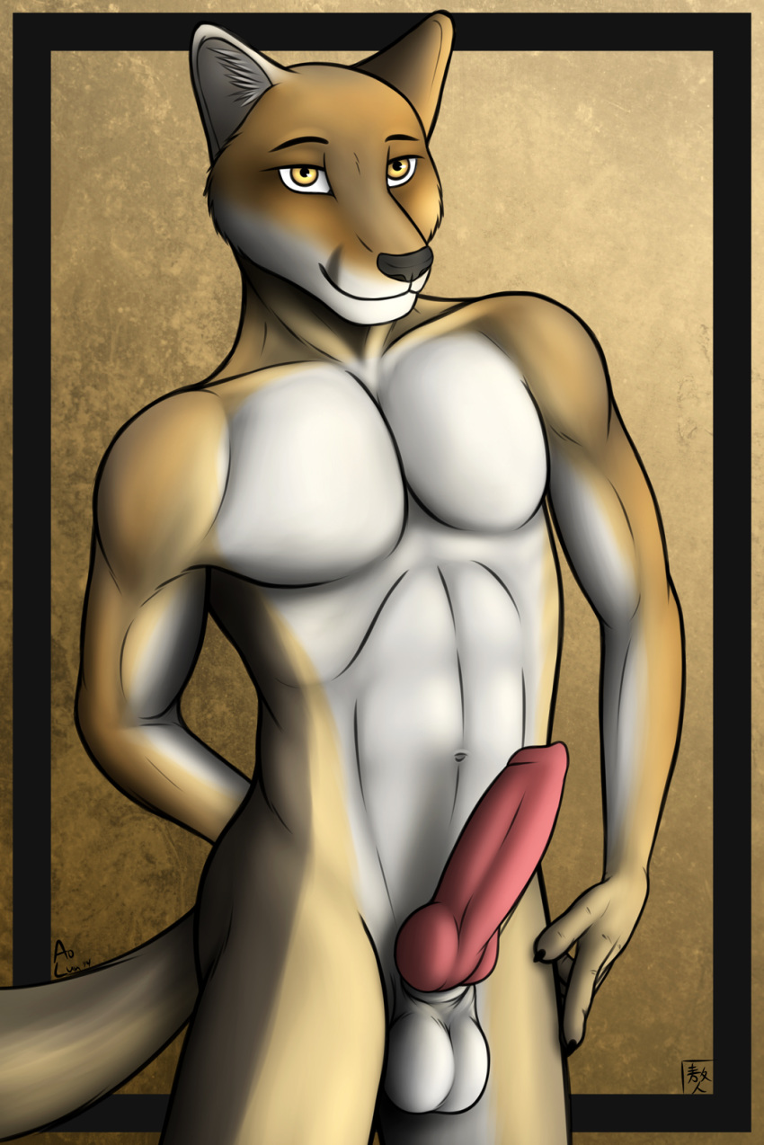 2014 animal_genitalia anthro aolun_(artist) balls canine canine_penis cape_fox fox fur looking_at_viewer male male_only mammal muscles nude penis sheath yellow_eyes