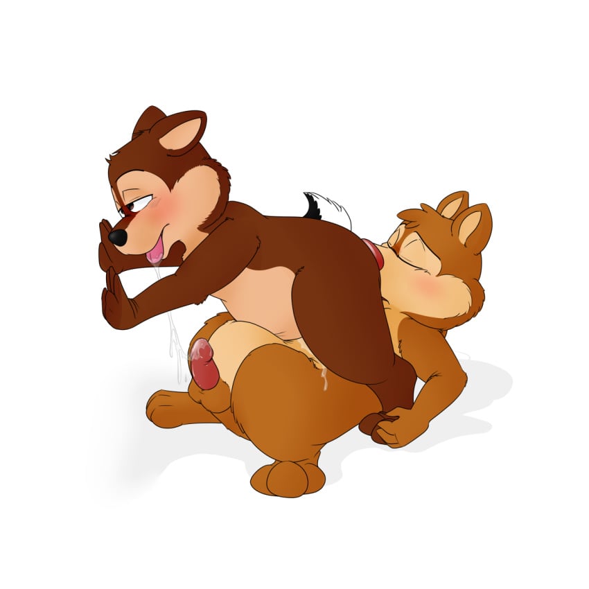 Chip (Chip 'N Dale Rescue Rangers) Rule 34 Image