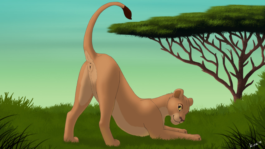 anatomically_correct anatomically_correct_pussy anus blue_eyes disney feline female female_feral feral kisu lion lioness mammal nala nude outside presenting pussy raised_tail spreading the_lion_king