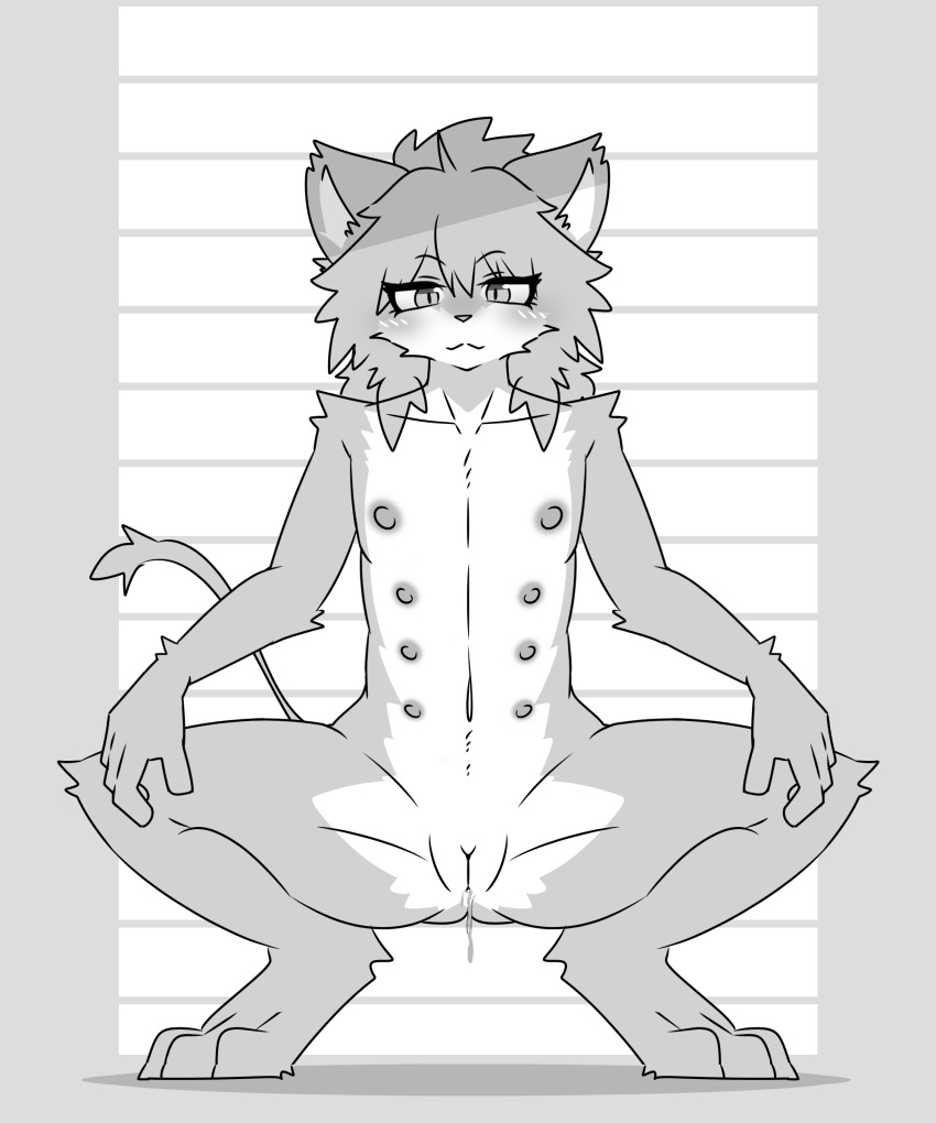 absurd_res anthro bodily_fluids felid female flat_chested genital_fluids genitals hi_res kiukiu lion mammal monochrome multi_nipple nipples pantherine presenting presenting_pussy pussy sitting solo spread_legs spreading vaginal_fluids