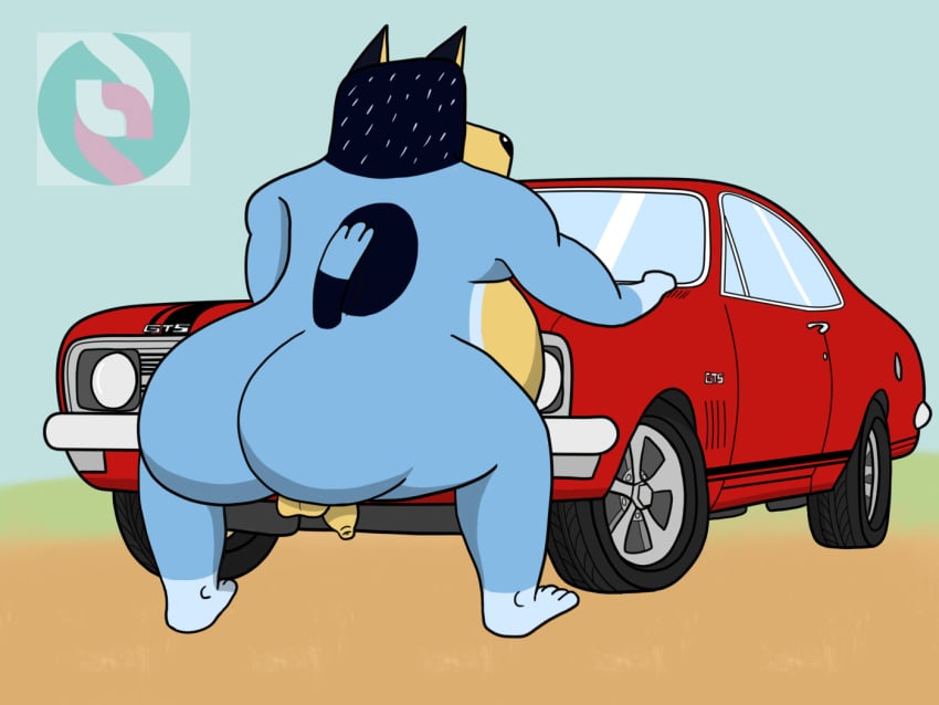 anthro ass balls bandit_heeler belly blue_body blue_fur bluey_(series) canid canine car crouching drreverb flaccid foreskin fur genitals looking_away male mammal nude overweight overweight_male penis rear_view solo tail vehicle