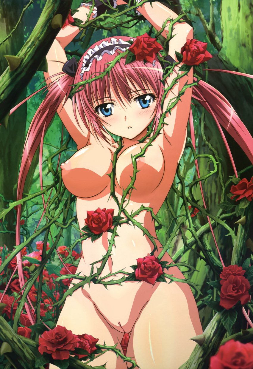 1girls airi armpits arms_up blue_eyes blush body_blush bondage breasts female flower foreshortening forest headdress hi_res high_resolution highres innie_pussy long_hair looking_at_viewer maid_headdress mound_of_venus nature navel nipples noguchi_takayuki nude nude_filter parted_lips photoshop plant pussy queen's_blade red_hair red_rose rose shade solo thighs thorns tied_hair tree twintails uncensored very_long_hair wrist_cuffs