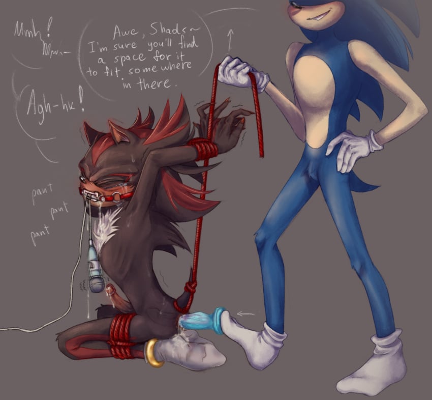 big_dildo bondage bondage crying dildo dildo_in_ass gag hands_above_head red_rope rope rope_bondage shadonic shadow_the_hedgehog sonadow sonic_(series) sonic_the_hedgehog sonic_the_hedgehog_(series) sounding tied_hands tied_up torture urethra urethral_plug vibrator vibrator_on_penis