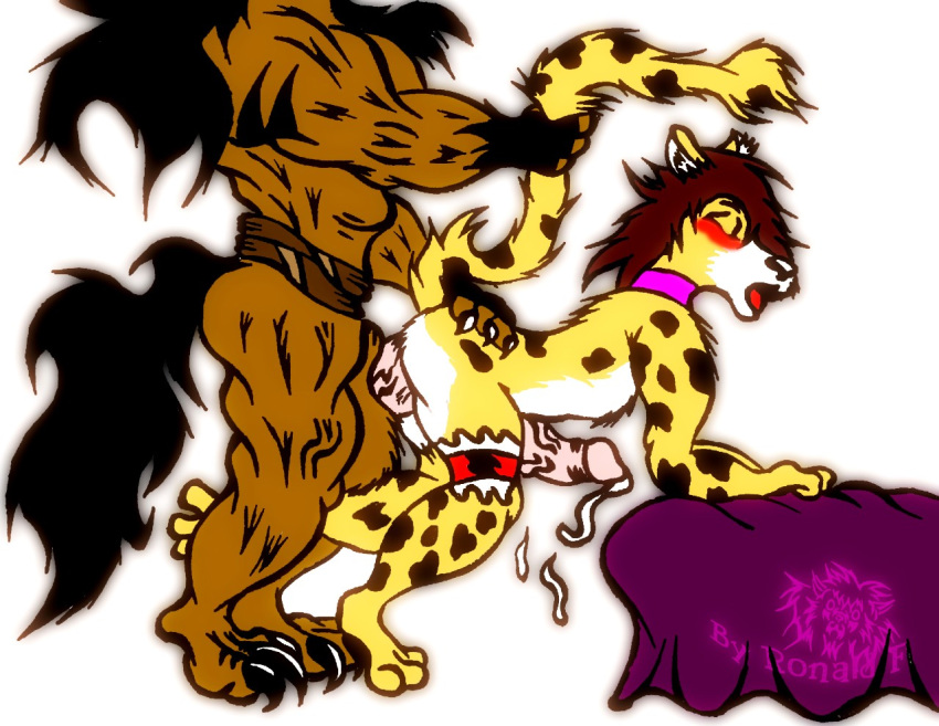 Anal Rule 34 Image