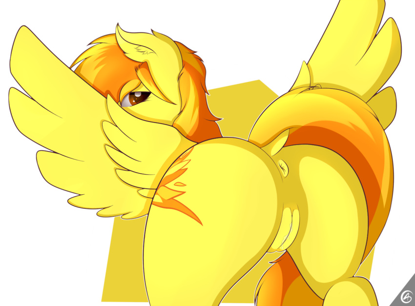 2014 alpha_channel anus ass capseys cutie_mark equine female friendship_is_magic fur hair looking_at_viewer mammal my_little_pony orange_hair pegasus plain_background pussy solo spitfire_(mlp) transparent_background two_tone_hair wings wonderbolts_(mlp) yellow_fur