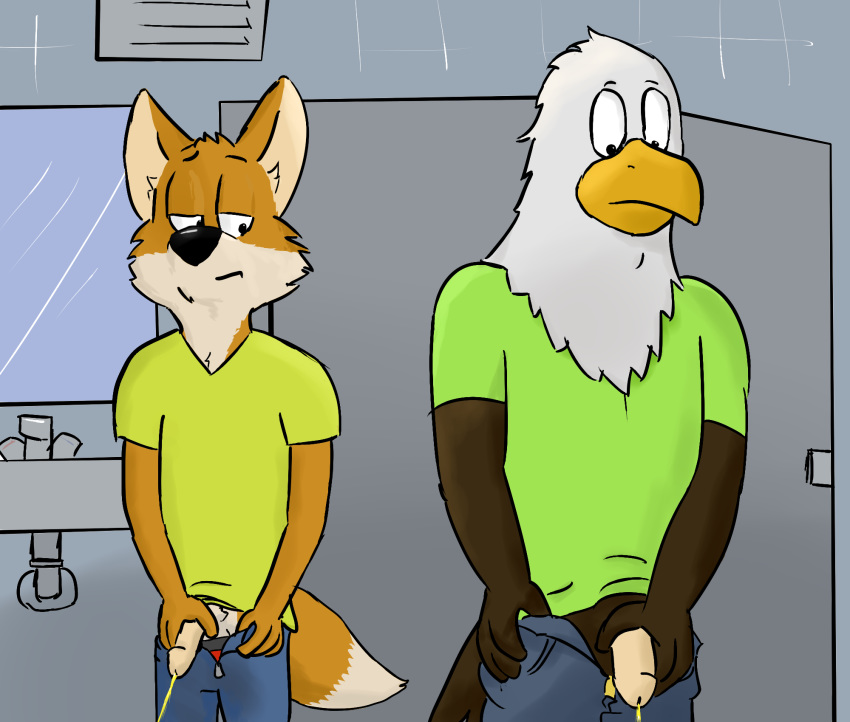 2014 anthro avian axl bald_eagle bathroom beak canine dan feathers flaccid fox fur male male_only mammal paintfox peeing peeping penis public_restroom restroom room standing stare teenager urine