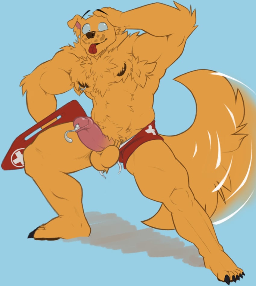 anthro balls bird_dog canid canine canis domestic_dog genitals golden_retriever hermy_(hermeros_rancoro) hi_res hunting_dog lifeguard male mammal mustelabr nipple_piercing nipples penis piercing retriever solo