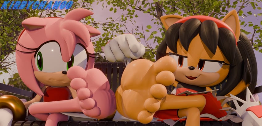 3d 5_toes amy_rose anthro bench digital_media_(artwork) duo feet female female/female foot_fetish foot_focus honey_the_cat humanoid_feet kirbychan0 outside plantigrade sega soles sonic_(series) sonic_the_fighters sonic_the_hedgehog_(series) toes