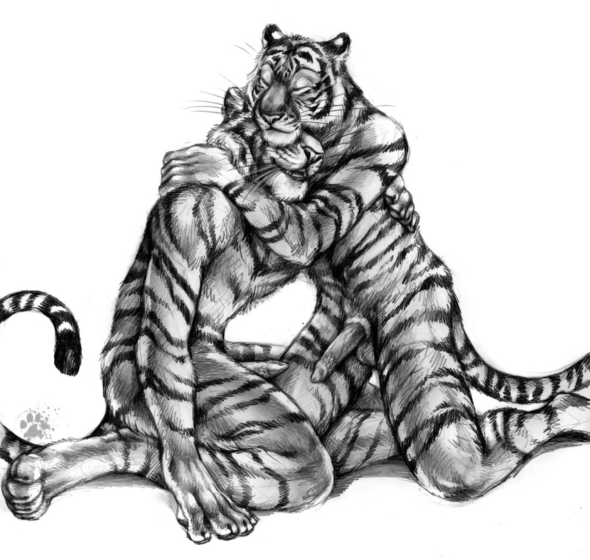 anthro blotch feline fur furry furry_only male mammal multiple_males no_humans tiger yaoi