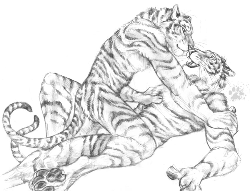 anthro blotch feline fur furry male mammal multiple_males tagme tiger yaoi