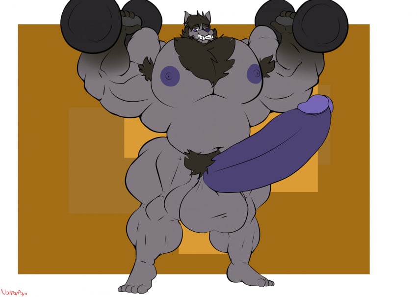 anthro balls big_muscles big_penis body_hair canid canine canis chest_hair dumbbell genitals hi_res hoodiewulf huge_arms huge_cock huge_muscles male mammal musclegut muscular muscular_male nathanlepoyo nipples penis solo weights wolf