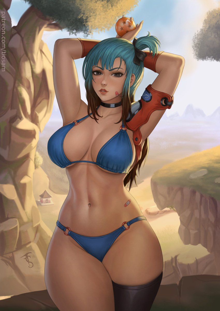 bulma_briefs chichi dragon_ball dragon_ball_z fusion tiosam tiosam13