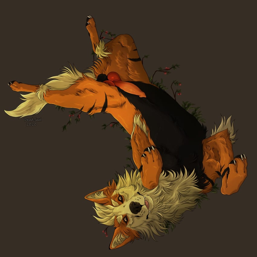 1:1 arcanine black_body black_fur blep brown_background claws drac_(dracwarrior) feral fur generation_1_pokemon hi_res inner_ear_fluff male mouth_closed msdeadsoul nintendo orange_body orange_ears orange_eyes orange_fur pink_tongue pokemon pokemon_(species) simple_background solo tongue tongue_out tuft white_claws yellow_inner_ear_fluff