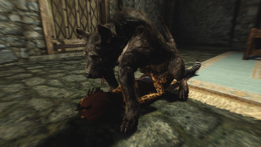 3d canine discombobulation feline khajiit skyrim socks the_elder_scrolls video_games zoophilia