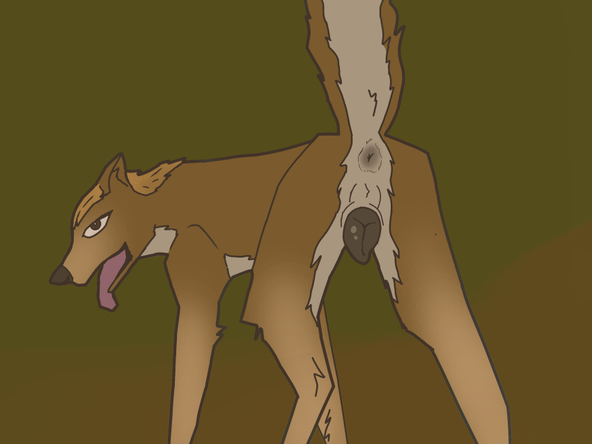 alpha_and_omega anatomically_correct animal_genitalia anus ass canid canine canine_genitalia canis female feral genitals hi_res kate_(alpha_and_omega) looking_at_viewer mammal open_mouth presenting presenting_hindquarters puffy_anus ravenfangs solo wolf