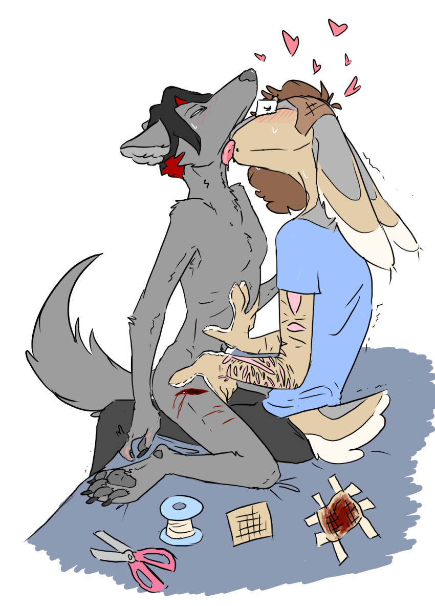 Trans (Lore) Rule 34 Image