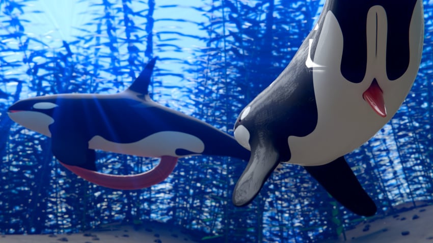 16:9 Rule 34 Image