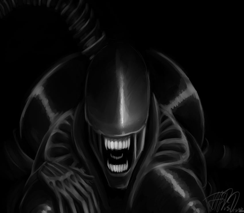 Xenomorph (Alien (Franchise)) Rule 34 Image