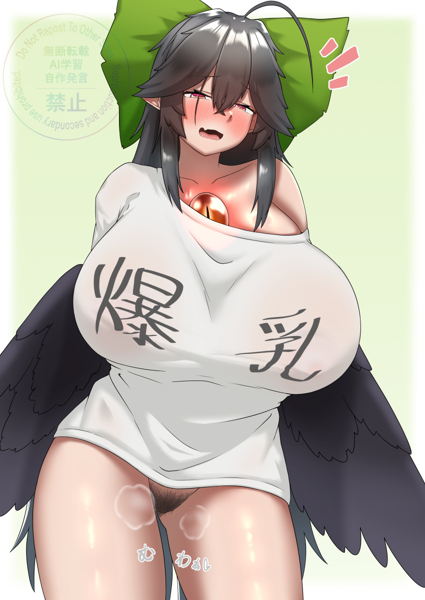 Reiuji Utsuho (Touhou) Rule 34 Image
