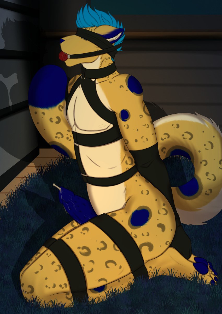absurd_res animal_genitalia animal_penis anthro arms_tied ball_gag blindfold blue_hair blue_spots bodily_fluids bondage bondage bound digital_media_(artwork) erection felid feline fur gag gagged genital_fluids genitals hair hands_behind_back hi_res jaynidogg kneeling legs_tied leopard male mammal markings nude pantherine penile_spines penis precum restrained restraints solo sounding_rod spots spotted_body submissive tail trey_(treylep) urethral