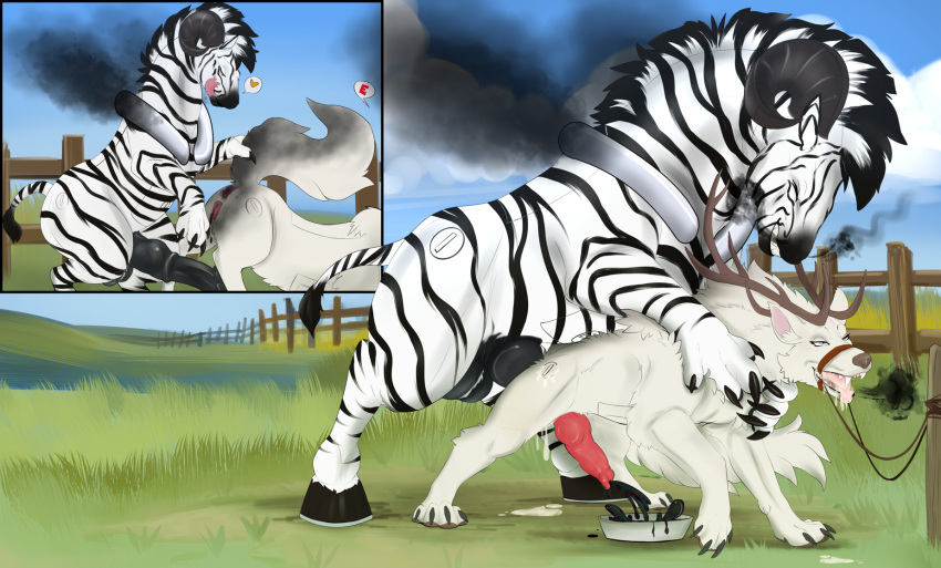 Animal Genitalia Rule 34 Image