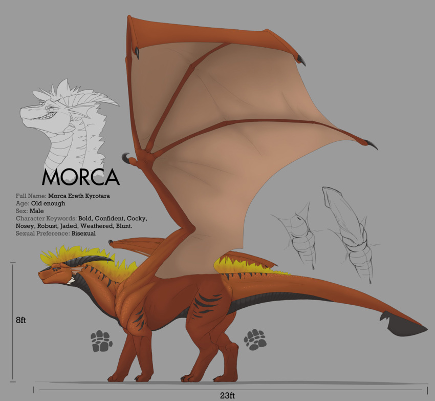 Morca (Character) Rule 34 Image