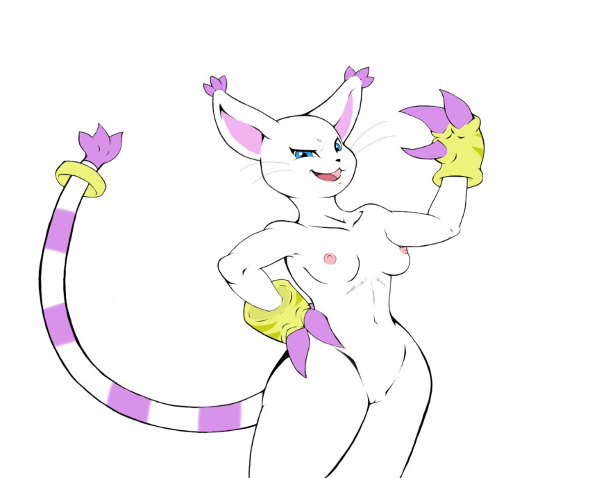 anthro breasts digimon feline female fur furry gatomon hand_on_hip looking_at_viewer mammal nude pussy rheumatism solo standing wide_hips