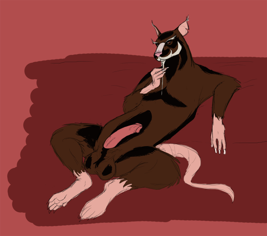 Master Splinter (Nickelodeon) Rule 34 Image