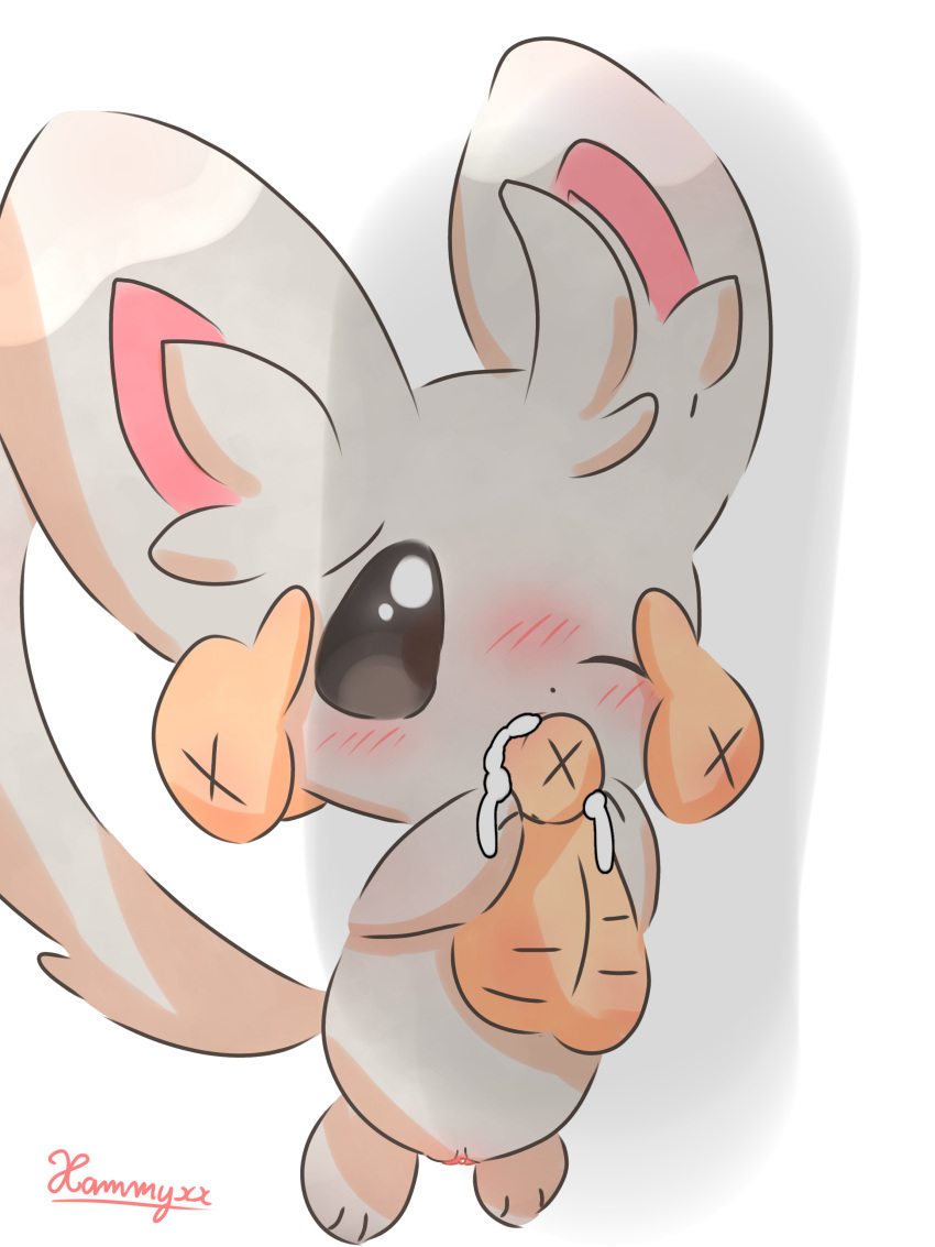 Generation 5 Pokemon (Nintendo) Rule 34 Image