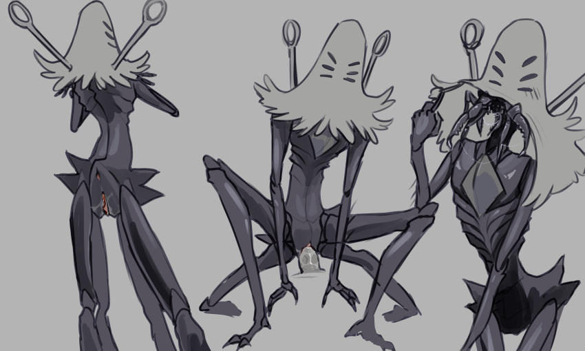 Widow (Hollow Knight) Rule 34 Image