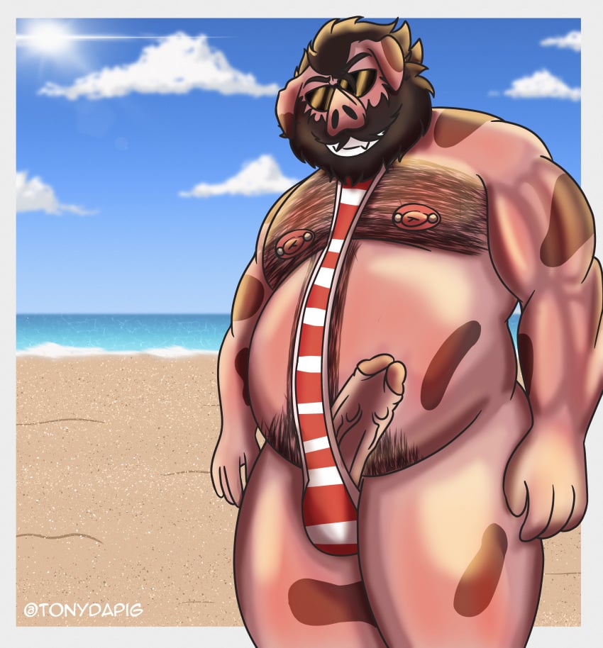 absurd_res anthro ass balls beach blush bodily_fluids clothed clothing digital_media_(artwork) domestic_pig erection eyewear fur genitals hair hi_res humanoid_genitalia humanoid_penis male male/male mammal muscular muscular_male nipples nude outside overweight overweight_male penis sand seaside sky smile solo suid suina sunglasses sus_(pig) swimwear tail tonydapig water wild_boar