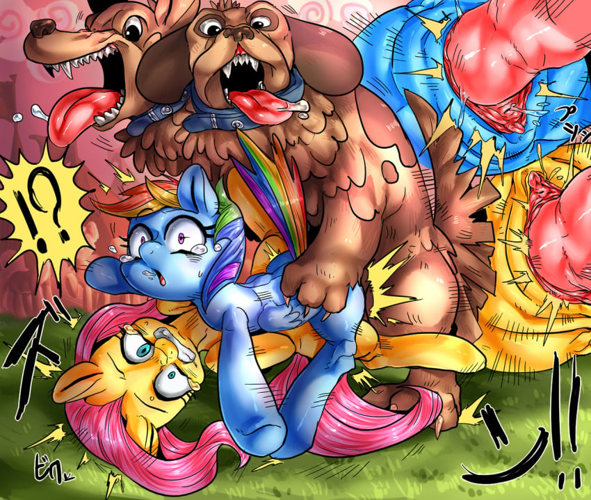 canine equine erection female feral fluttershy_(mlp) friendship_is_magic horse interspecies knot male mammal my_little_pony nekubi orthros_(mlp) pegasus penetration penis pony pussy rainbow_dash_(mlp) sex vaginal_penetration wings zoophilia