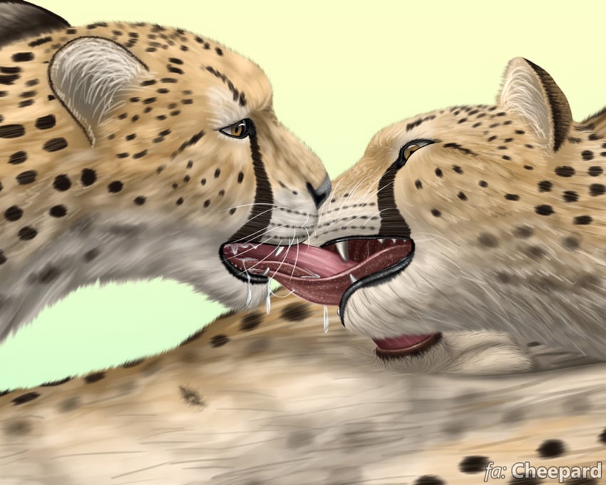 ambiguous_gender animal_genitalia balls cheepard cheetah collaborative_fellatio cum cum_on_tongue double_oral drooling feline feline_penis fellatio group group_sex male mammal navel oral oral_sex penis saliva sex teamwork threesome tongue yellow_eyes