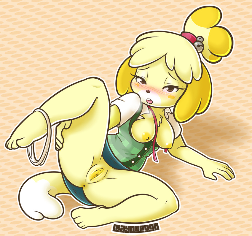 2d animal_crossing anthro anus black_nose blush breasts brown_eyes canid canine canis eyes_half_open female fur furry furry_only hi_res isabelle_(animal_crossing) lazydoogan mammal nintendo nipples office_lady panties panties_around_leg partially_clothed presenting presenting_anus presenting_pussy pussy solo spread_legs spreading tail underwear upskirt video_games yellow_nipples yellow_pussy