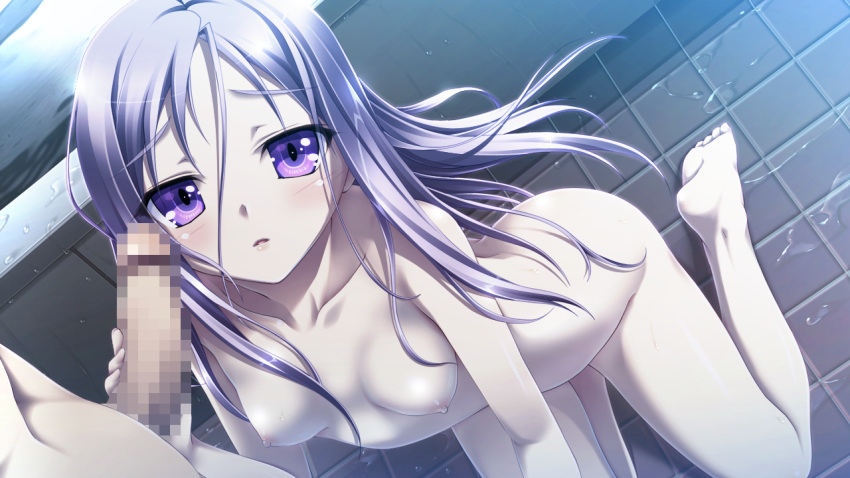 amou_mikage bath bathtub breasts censored game_cg kikurage long_hair nipples nude penis purple_eyes purple_hair purple_software shiawase_kazokubu wet