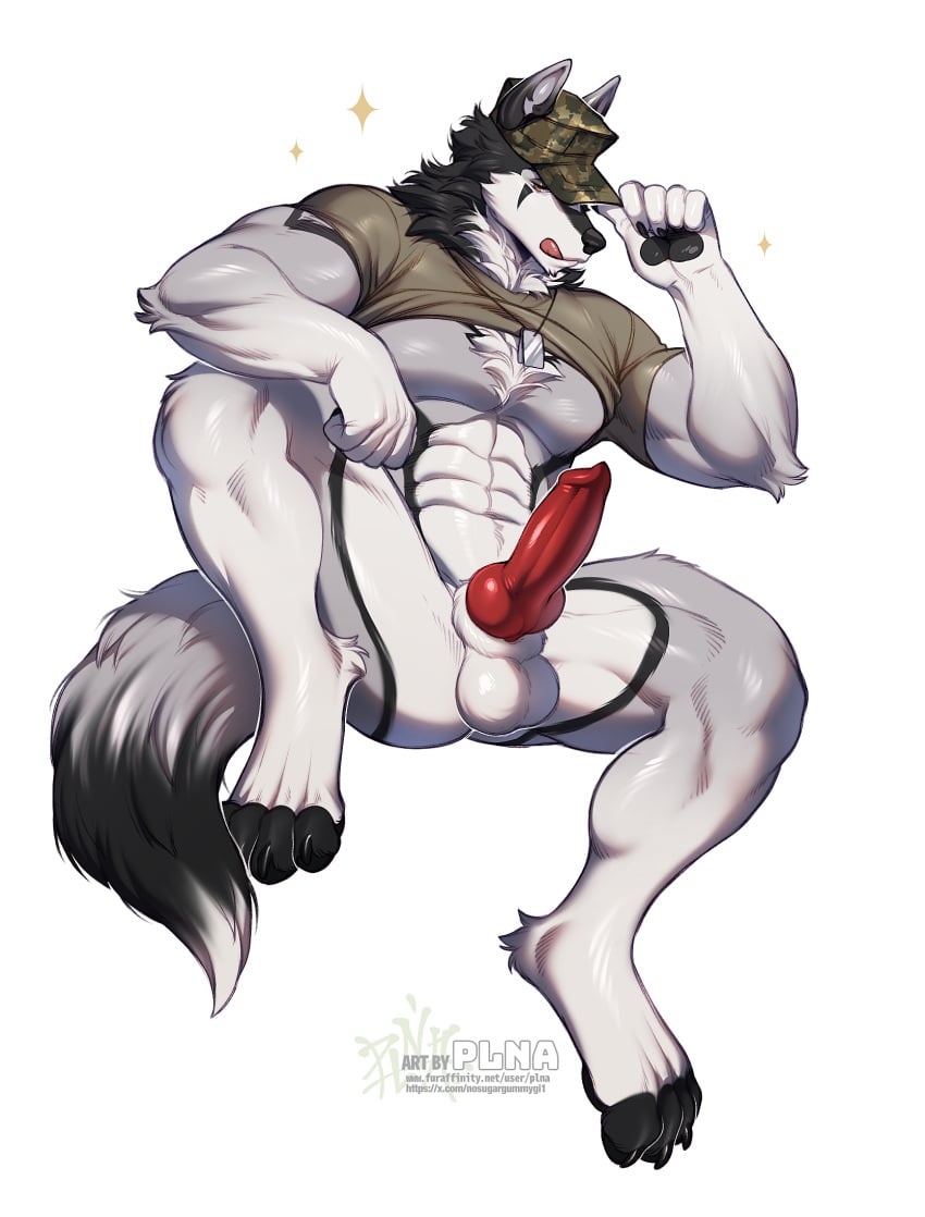 5_fingers abs animal_genitalia animal_penis anthro balls big_penis biped canid canine canine_genitalia canine_penis clothing erection fingers fur genitals grey_body grey_fur hat headgear headwear hi_res knot male mammal muscular muscular_anthro muscular_male pecs penis plna simple_background solo tail tongue tongue_out white_background