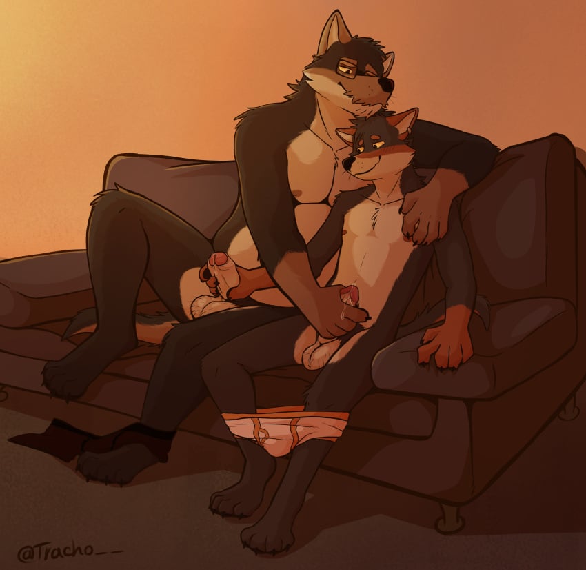absurd_res anthro arm_around_partner balls belly black_body black_fur bodily_fluids body_hair canid canine canis cheek_tuft circumcised clothed clothing clothing_around_legs clothing_around_one_leg dripping duo ear_piercing eyewear facial_tuft father father_and_child father_and_son feet foreskin fur furniture genital_fluids genitals glasses hairy_balls handjob hi_res humanoid_genitalia humanoid_penis incest leaking_precum male male/male mammal mostly_nude mutual_masturbation neck_tuft nipples orange_body orange_fur overweight parent parent_and_child parent_and_son partially_clothed penile penis piercing precum precum_drip pubes sex size_difference slightly_chubby sofa son tail tan_belly thick_penis tracho tuft uncircumcised underwear underwear_around_legs underwear_around_one_leg underwear_down underwear_only warm_lighting wearing_glasses wolf yellow_sclera