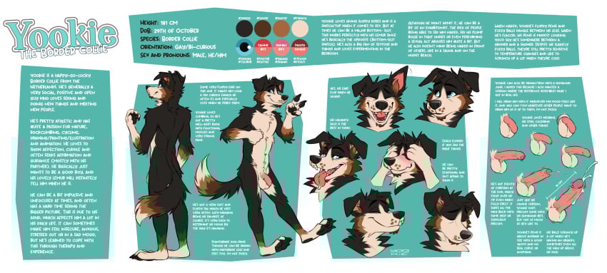 anthro arm_tuft balls black_body black_fur black_nose black_pawpads blue_eyes blush border_collie brown_markings canid canine canis cheek_tuft chest_tuft closed_smile collie domestic_dog elbow_tuft erection facial_tuft fangs flaccid floppy_ears foreskin front_view fur genitals half-erect head_tuft herding_dog hi_res humanoid_genitalia humanoid_penis male mammal markings model_sheet mouth_closed neck_tuft pastoral_dog pawpads penis pink_penis rear_view red_tongue sheepdog shoulder_tuft smile solo standing tan_balls tan_body tan_fur teeth tongue tuft yookie