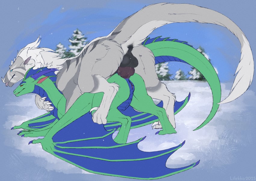 anal anal_sex anus balls black_anus blue_body blue_claws blue_scales claws dragon duo felkin female feral fur furred_dragon furred_scalie genitals green_body green_scales hi_res horn knot liluay male male/female mythological_creature mythological_scalie mythology penetration penis perineum purple_knot purple_penis scales scalie white_body white_claws white_fur white_horn