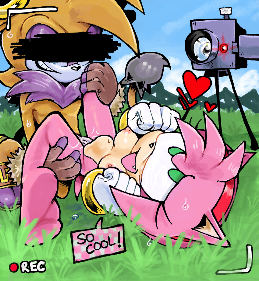 Amy Rose (Sega) Rule 34 Image