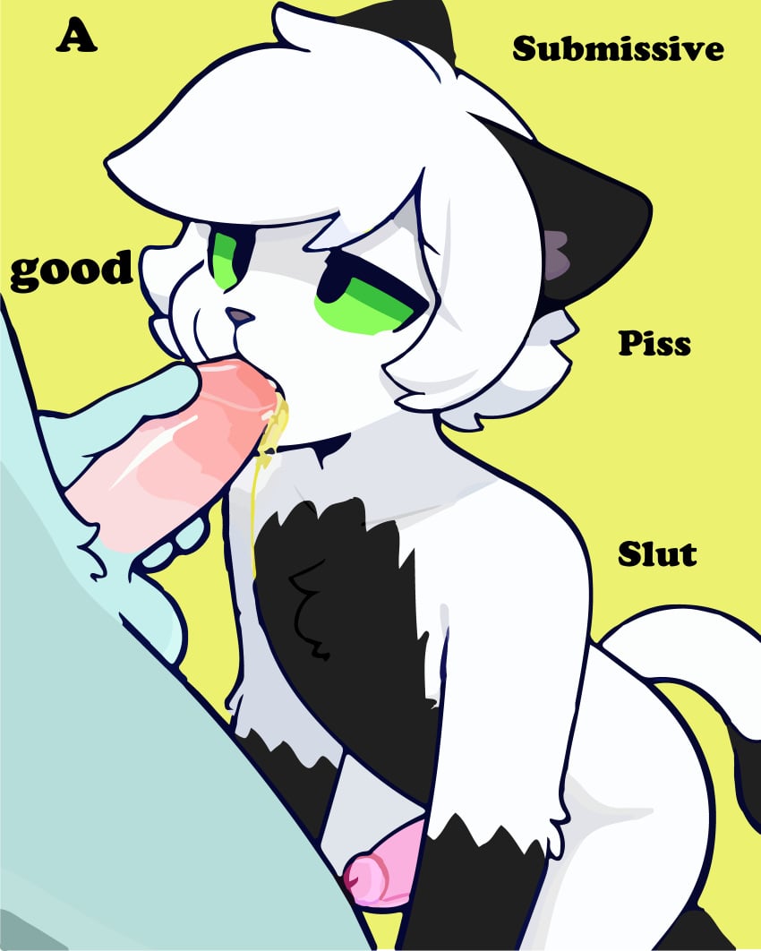 absurd_res anthro black_body black_ears black_fur black_fur_markings black_tail blizzardfur blizzardfur-maxxx blush bodily_fluids drinking drinking_urine duo english_text erection eyelashes fellatio fur genital_fluids genitals green_eyes hi_res kneeling kneeling_oral_position lgbt_pride male male/male oral paws peeing penile penis penis_in_mouth pride_colors sex simple_background solo steam tail text urine urine_in_mouth urine_on_fur watersports wetting white_body white_fur yellow_background