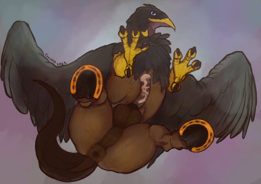 animal_genitalia animal_penis anus ass avian balls beak black_body black_claws black_feathers black_fur black_hooves blue_eyes brown_anus brown_balls brown_body brown_fur claws equine_genitalia equine_penis european_mythology feathers feet feral fur genitals greek_mythology hi_res hippogriff hooves male mythological_avian mythological_creature mythology penis perineum solo talons teavern toes