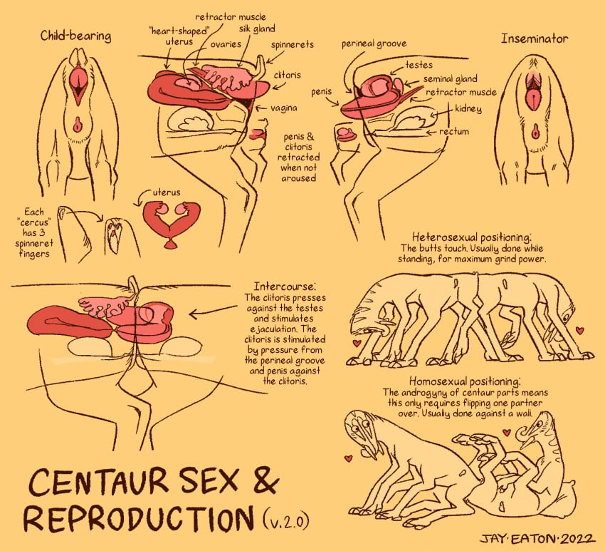 2022 alien all_sixes anatomical_diagram anatomy anus ass ass_to_ass big_clitoris butt_shot centaur_(rtts) chode clitoris cross_section english_text erection eye_contact female female/female genitals group heart_symbol hi_res hooves internal_balls jayrockin kidney looking_at_another male male/female mammal monochrome multiple_images organs ovaries penetration penis pillow pink_anus pink_clitoris pink_penis pink_pussy proboscis_(anatomy) pussy restricted_palette runaway_to_the_stars sex spinnerets tapering_penis taur text thick_penis tribadism trunk_(anatomy) tusks unguligrade unusual_anatomy unusual_genitalia_placement uterus vaginal_penetration